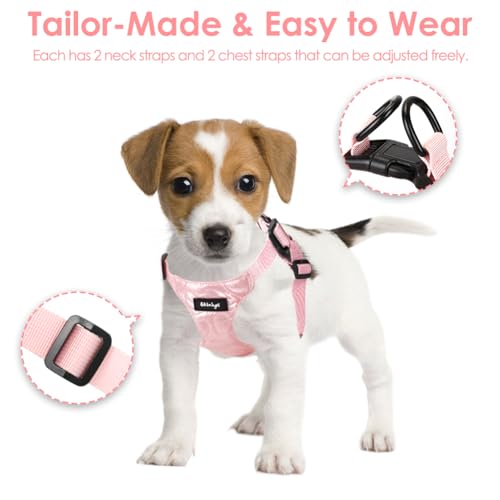 Wdmiya Dog Harness, Small Dog Harness, M Size, Anti-Escape Design