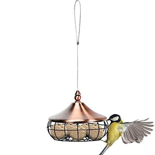 Dreamade Hanging Bird Feeder - Attract Birds With Easy Refills