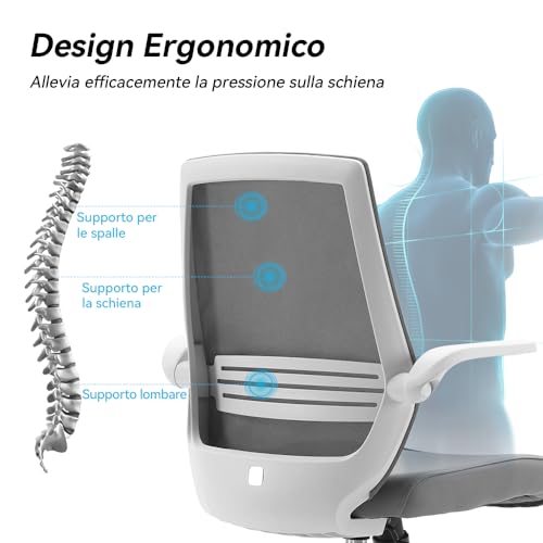 Sihoo M76-M103 Ergonomic Office Desk Chair With Lumbar Support & Adjustable Armrests