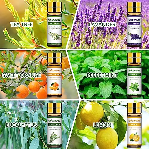 Migcaput Essential Oils Set - 12 Natural Aromatherapy Oils For Diffusers & Spa