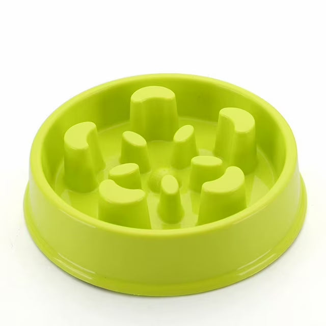 Grandez Slow Feeder Dog Bowl Fan Shape For Healthy Eating