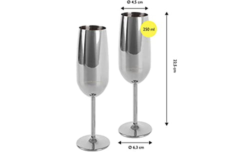 Echtwerk 2-Piece Champagne Glass Set - Stylish & Shatterproof