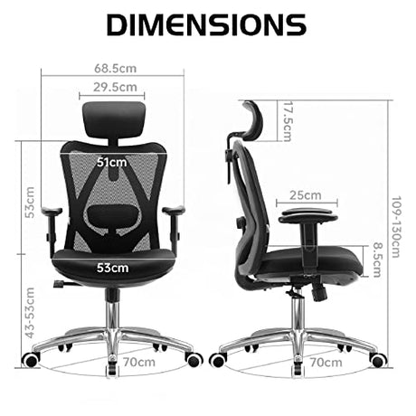 Sihoo M18-M148 Ergonomic Office Chair With Adjustable Headrest & Lumbar Support