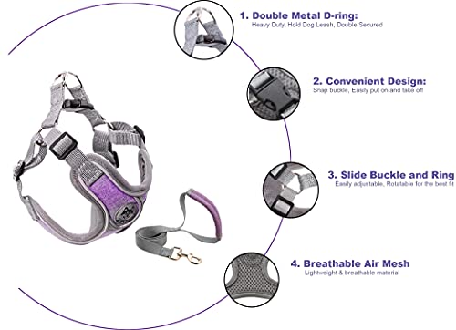 Jdotmin No-Pull Dog Harness For Small Medium Dogs - Adjustable & Reflective