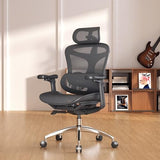 Sihoo Doro C300-L-A3-101 Ergonomic Office Chair With 3D Armrests & Lumbar Support