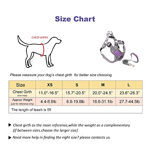 Jdotmin No-Pull Dog Harness For Small Medium Dogs - Adjustable & Reflective
