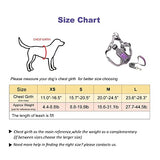 Jdotmin No-Pull Dog Harness For Small Medium Dogs - Adjustable & Reflective