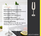 Echtwerk 2-Piece Champagne Glass Set - Stylish & Shatterproof