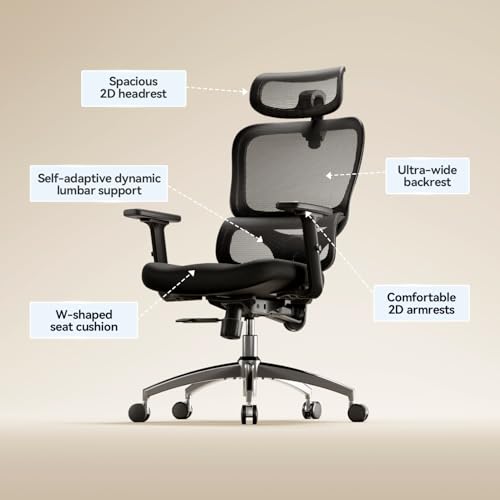 SIHOO M56C-V2-M101 Ergonomic Mesh Office Chair, High Back Desk Chair with 3D Armrests