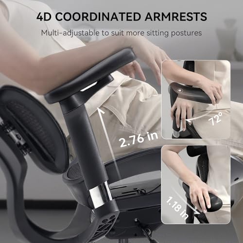 Sihoo Doro S100-M201 Ergonomic Office Chair - Dynamic Lumbar Support