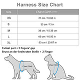 Dociote No Pull Dog Harness For Small Dogs - Soft, Breathable & Reflective