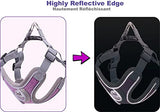 Jdotmin No-Pull Dog Harness For Small Medium Dogs - Adjustable & Reflective