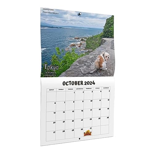 Senhe Dogs Pooping In Beautiful Places Calendar 2024 | Hilarious Monthly Wall Calendar
