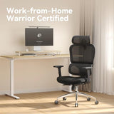 SIHOO M56C-V2-M101 Ergonomic Mesh Office Chair, High Back Desk Chair with 3D Armrests