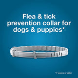 Seresto Flea & Tick Collar For Dogs Over 18 Lbs. - 8 Month Protection