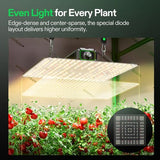 Vivosun Vs1000 Led Grow Light For Indoor Plants - Dimmable & Efficient