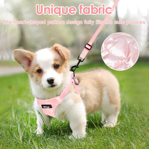 Wdmiya Dog Harness, Small Dog Harness, M Size, Anti-Escape Design
