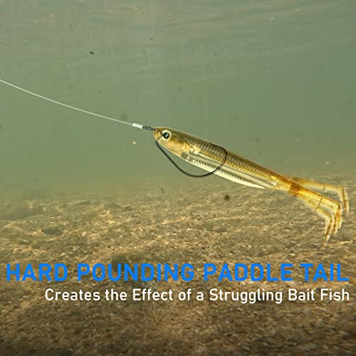 Dr.Fish Paddle Tail Swimbaits, Soft Plastic Fishing Lures For Bass Fishing, Ultra Realistic Action
