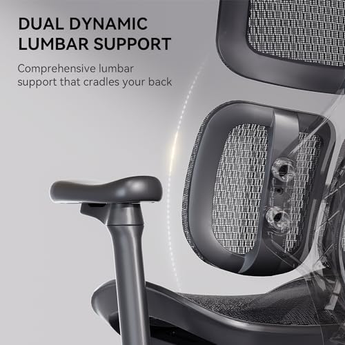 Sihoo Doro S100-M201 Ergonomic Office Chair - Dynamic Lumbar Support