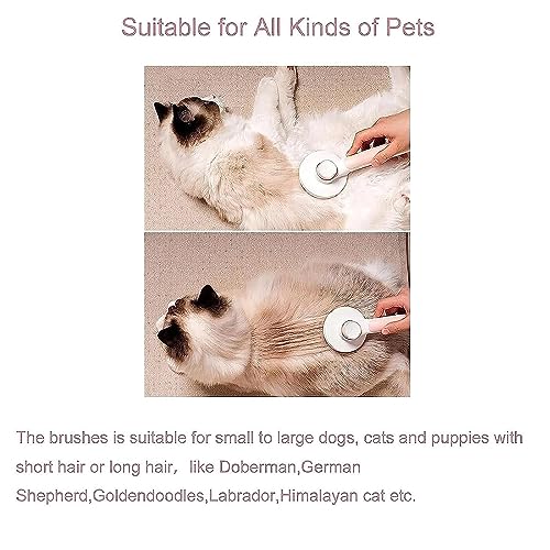 Mutt Studio Cat Brush - Self Cleaning & Gentle For All Fur Types