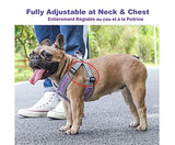 Jdotmin No-Pull Dog Harness For Small Medium Dogs - Adjustable & Reflective