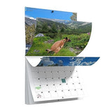 Senhe Dogs Pooping In Beautiful Places Calendar 2024 | Hilarious Monthly Wall Calendar