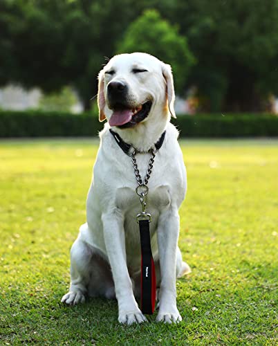 Pettom Short Dog Leash 12In For Large Dogs - Comfortable Control