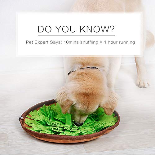Oncpcare Pet Dog Feeder, Foraging Dog Mat - Stress Relief For Dogs & Cats