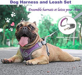 Jdotmin No-Pull Dog Harness For Small Medium Dogs - Adjustable & Reflective