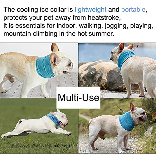Coppthinktu Dog Cooling Bandana - Instant Relief For Pets In Summer