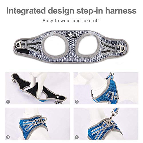 Dociote No Pull Dog Harness For Small Dogs - Soft, Breathable & Reflective