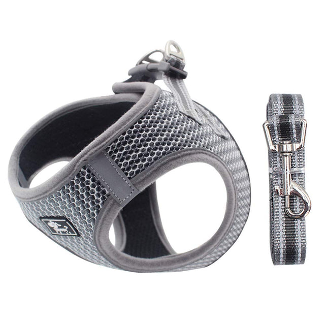 Dociote No Pull Dog Harness in Silver Grey with Leash for Small Dogs