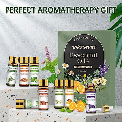 Migcaput Essential Oils Set - 12 Natural Aromatherapy Oils For Diffusers & Spa