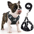Black adjustable dog harness with reflective design for small and medium dogs