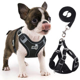 Black adjustable dog harness with reflective design for small and medium dogs