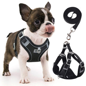Black adjustable dog harness with reflective design for small and medium dogs