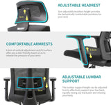Umi Ergonomic Mesh Office Chair - Black with adjustable headrest and lumbar support