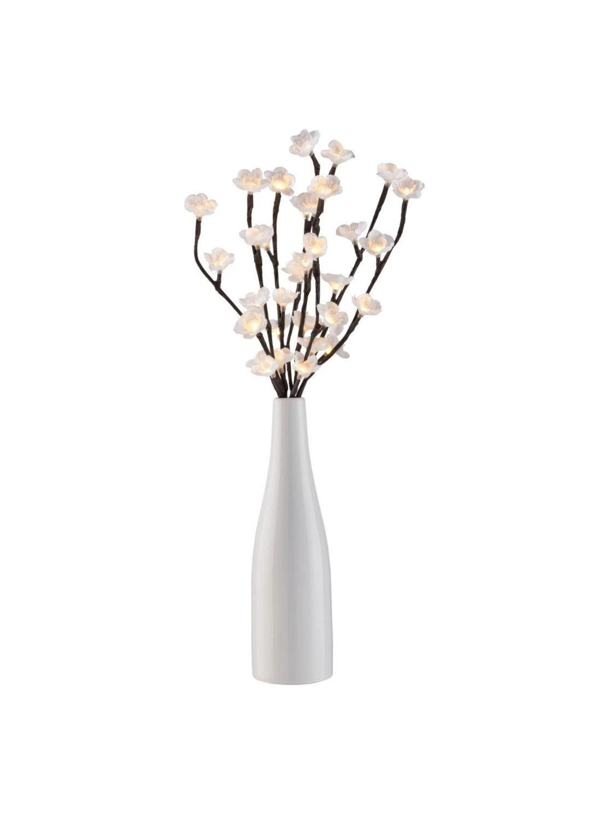 Livarno Home Decorative Vase - LED light