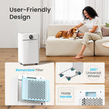 CHIVALZ 12L/24H Dehumidifiers for Home, Bedroom & Bathroom, LED Display and 24H Timer, Interior Dehumidifier with Automatic Defrosting, 2L Water Tank & Drainage Hose, White, 1 Pack+3 Modes