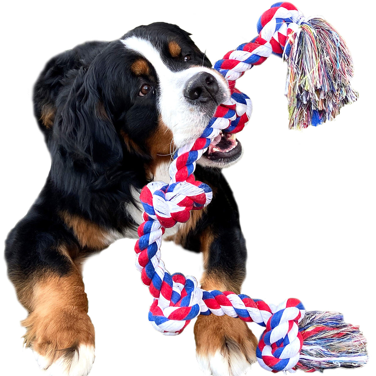 Youngever Dog Rope Toy for aggressive chewers, featuring 5 knots and durable design for large dogs.