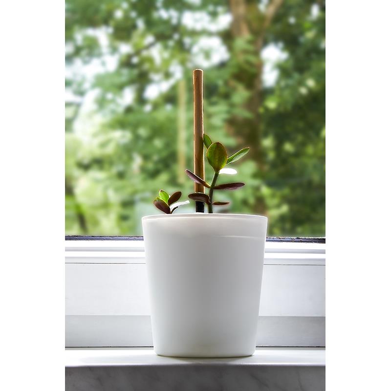 Trend Glass Vera White Glass Flowerpot 170mm for Plants