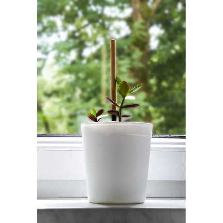 Trend Glass Vera White Glass Flowerpot 170mm for Plants